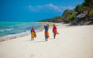 Safaris & Zanzibar