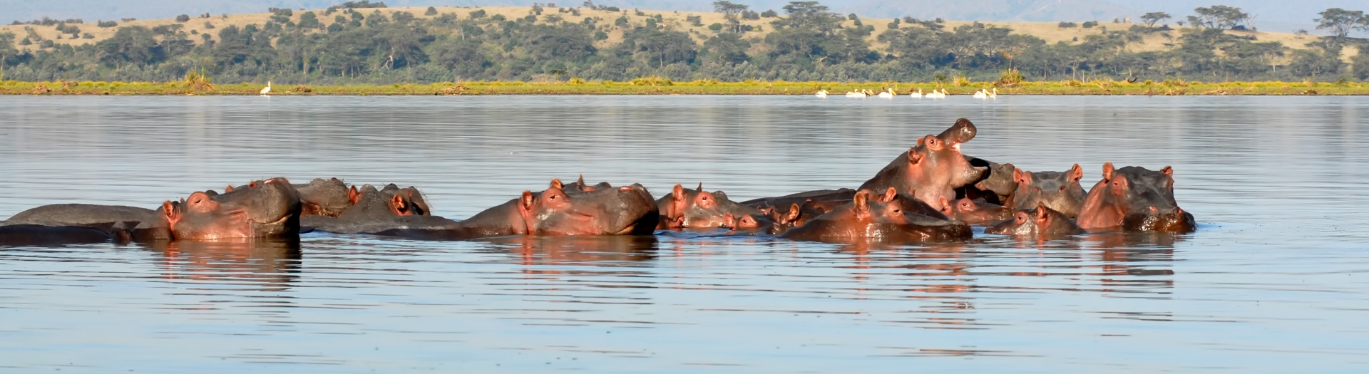 Safari Kenya & Tanzanie