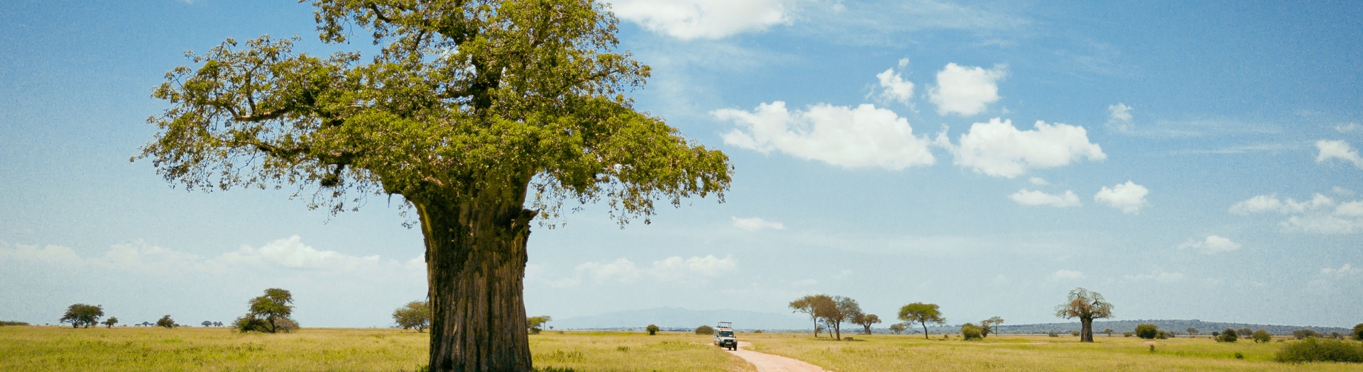 Manyara, Ngorongoro, Tarangire & Zanzibar en famille