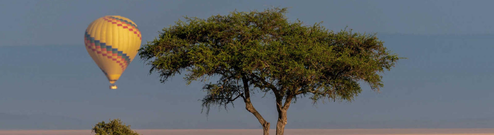 L'ascension du Kilimandjaro, Safari & Zanzibar