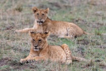 Créez votre voyage sur-mesure