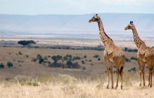 Route vers le Masai Mara