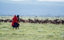 Route vers le parc national du Serengeti