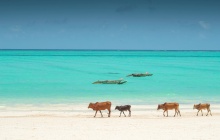 Fin du séjour sur la côte Est