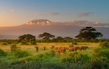 Vers Amboseli et le Kilimandjaro