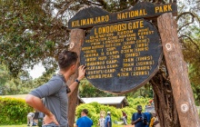 Moshi - Londorossi Gate (2 400 m) - Camp de Mti Mkubwa (2 900 m)