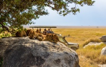 Safari dans le parc national du Serengeti