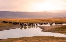 Exploration dans le cratère du Ngorongoro