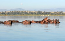 La vallée du Rift et le lac Naivasha