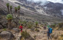 Machame Gate (1 810 m) - Machame Camp (3 030 m)