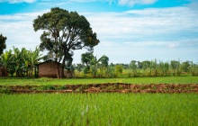 Direction l'île de Zanzibar