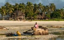De Tarangire à Zanzibar