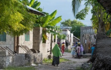 Zanzibar : détente et découvertes