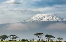 Arrivée en Tanzanie, départ vers Arusha