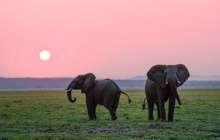 Vers le parc de Tarangire