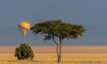 L'ascension du Kilimandjaro, Safari & Zanzibar