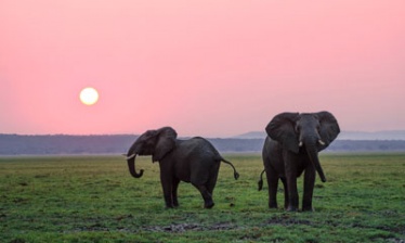 Safaris dans les réserves du sud tanzanien
